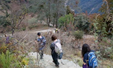 Trekker walking through rhododendron forest on the Ghorepani Trek with Himalayan peaks in the background.
