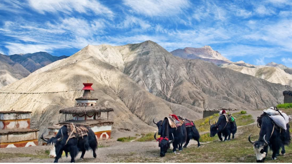 Breathtaking view of Phoksundo Lake and rugged mountains in Nepal under clear blue skies.