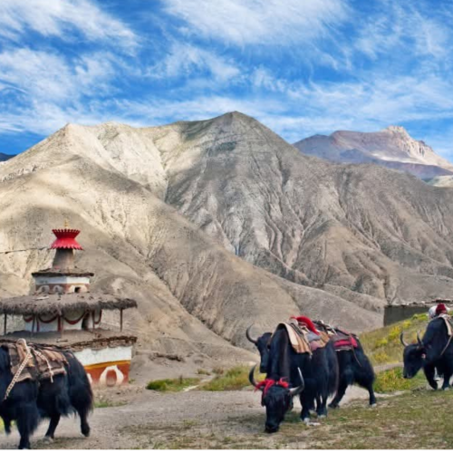 Breathtaking view of Phoksundo Lake and rugged mountains in Nepal under clear blue skies.