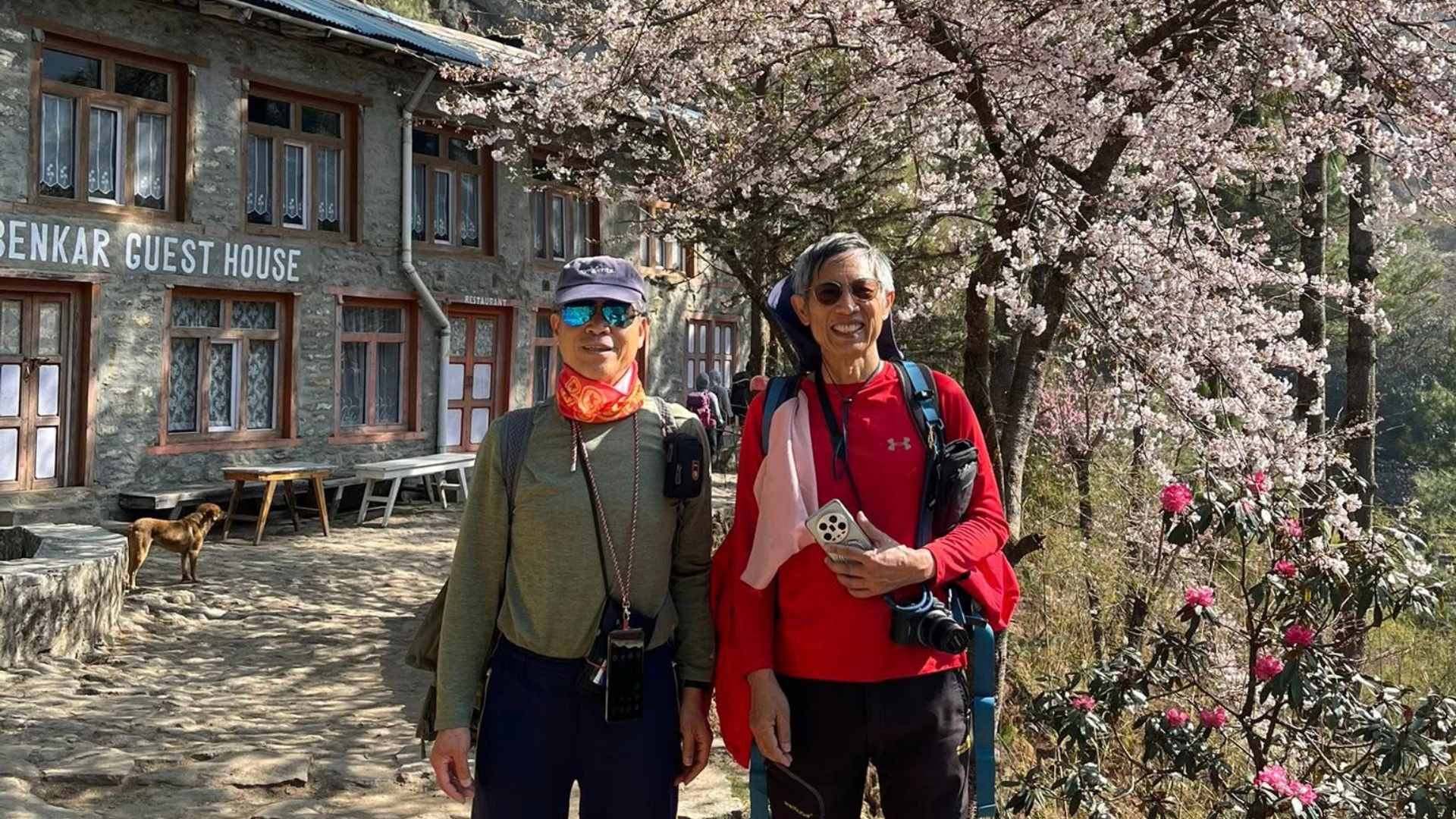 Trekkers crossing Cho-La Pass with views of Gokyo Lakes and Everest region peaks.