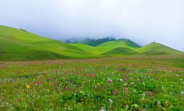 Badimalika Trek in Nepal, featuring Himalayan peaks, lush forests, alpine meadows, and traditional villages along the 12-day trekking route.