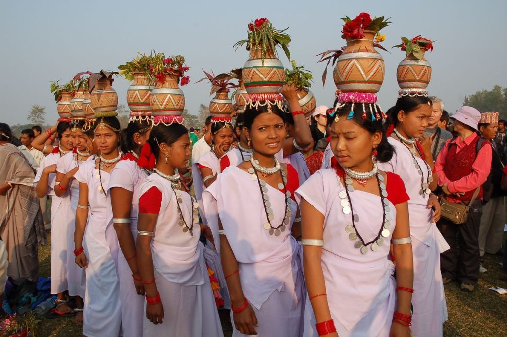 Bardia National Park Tour with jungle safaris, wildlife spotting, and cultural encounters in Nepal’s pristine Terai wilderness.