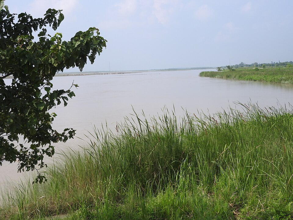 Rare migratory birds resting in the wetlands of Koshi Tappu Wildlife Reserve.