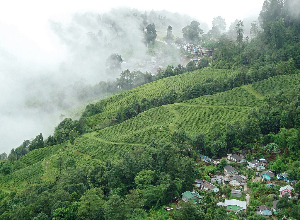 Gangtok city view with Himalayan mountains in the background