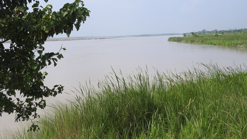 Bird Watching Koshi Tappu Experience in Nepal at Koshi Tappu Wildlife Reserve with migratory birds and wetland habitat