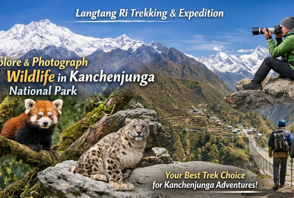 Explore Unforgettable Kanchenjunga National Park 2026 with snow-capped peaks, lush forests, and wildlife with the panoramic view.