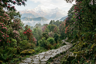 Annapurna 2026: 5 Hidden Trails Away from Jeep Roads is showcasing tranquil landscapes and traditional villages in 2026.