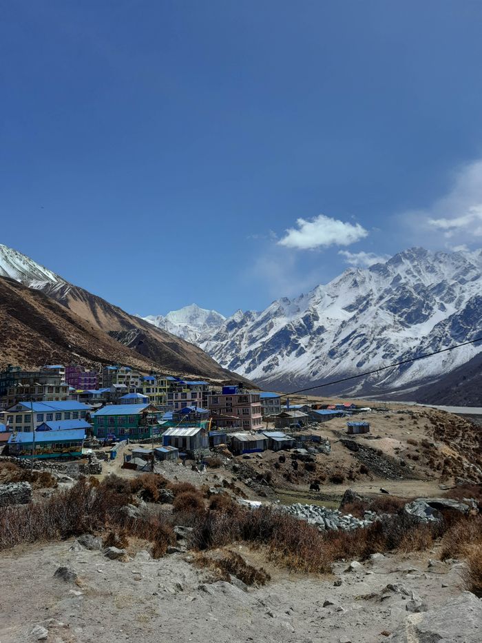 Charming Langtang village with a majestic Himalayan backdrop, showcasing serene mountain life.