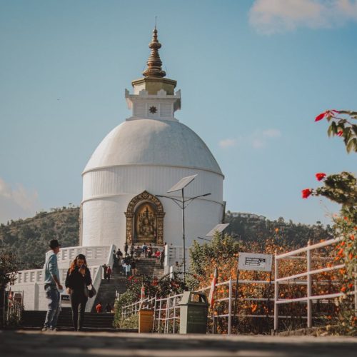 Tourists walking near the World Peace Pagoda surrounded by flowers in Nepal.
